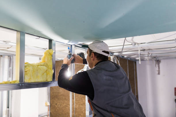 Types of Insulation We Offer in Spring Lake Park, MN