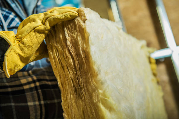 Professional Insulation Contractor in Spring Lake Park, MN