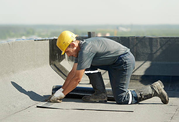 Best DIY Insulation Kits and Guidance in Spring Lake Park, MN