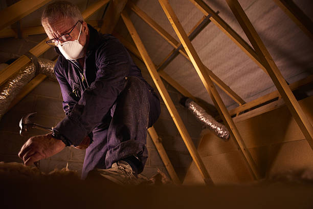 Best Insulation for Specific Applications in Spring Lake Park, MN
